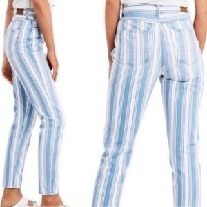American Eagle AEO Striped Mom Jeans Size 4 Reg.